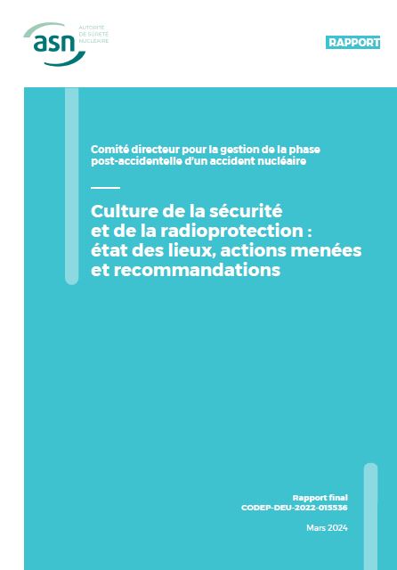 Rapport final GT culture